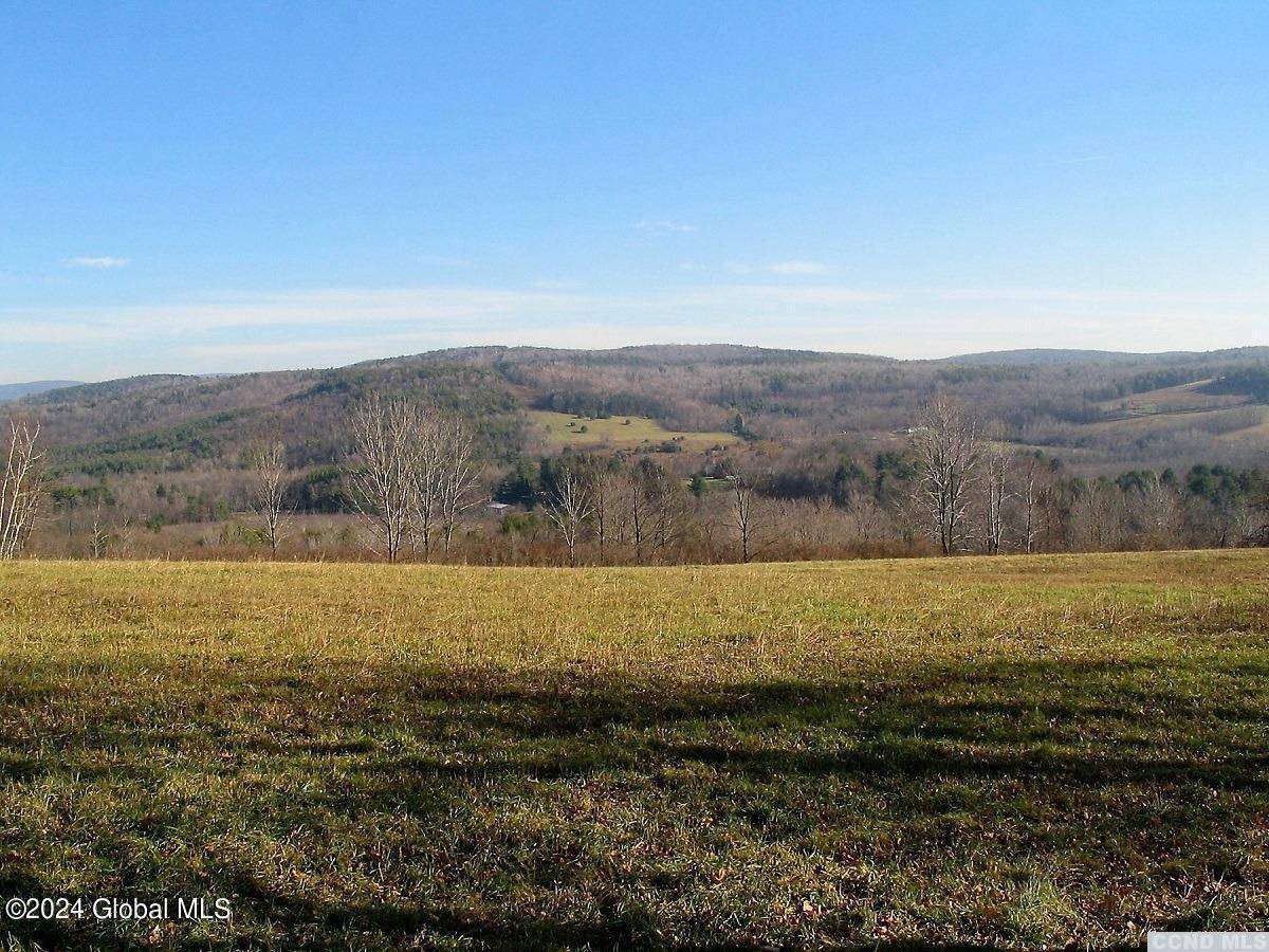 New Lebanon, NY 12125,0 Old Gale Hill Road