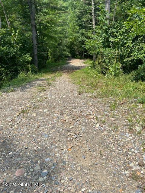 Palatine, NY 13339,0000 Burrell Rd