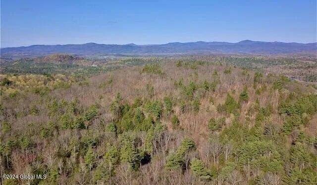 Hampton, NY 12837,L62-1-1 County Route 18 Off Road