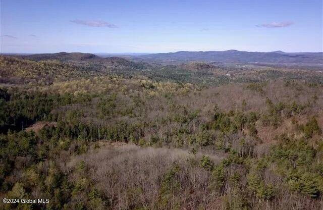 Hampton, NY 12837,L62-1-1 County Route 18 Off Road
