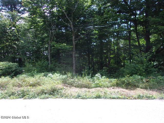 Moriah, NY 12998,80 Barton Hill Lane