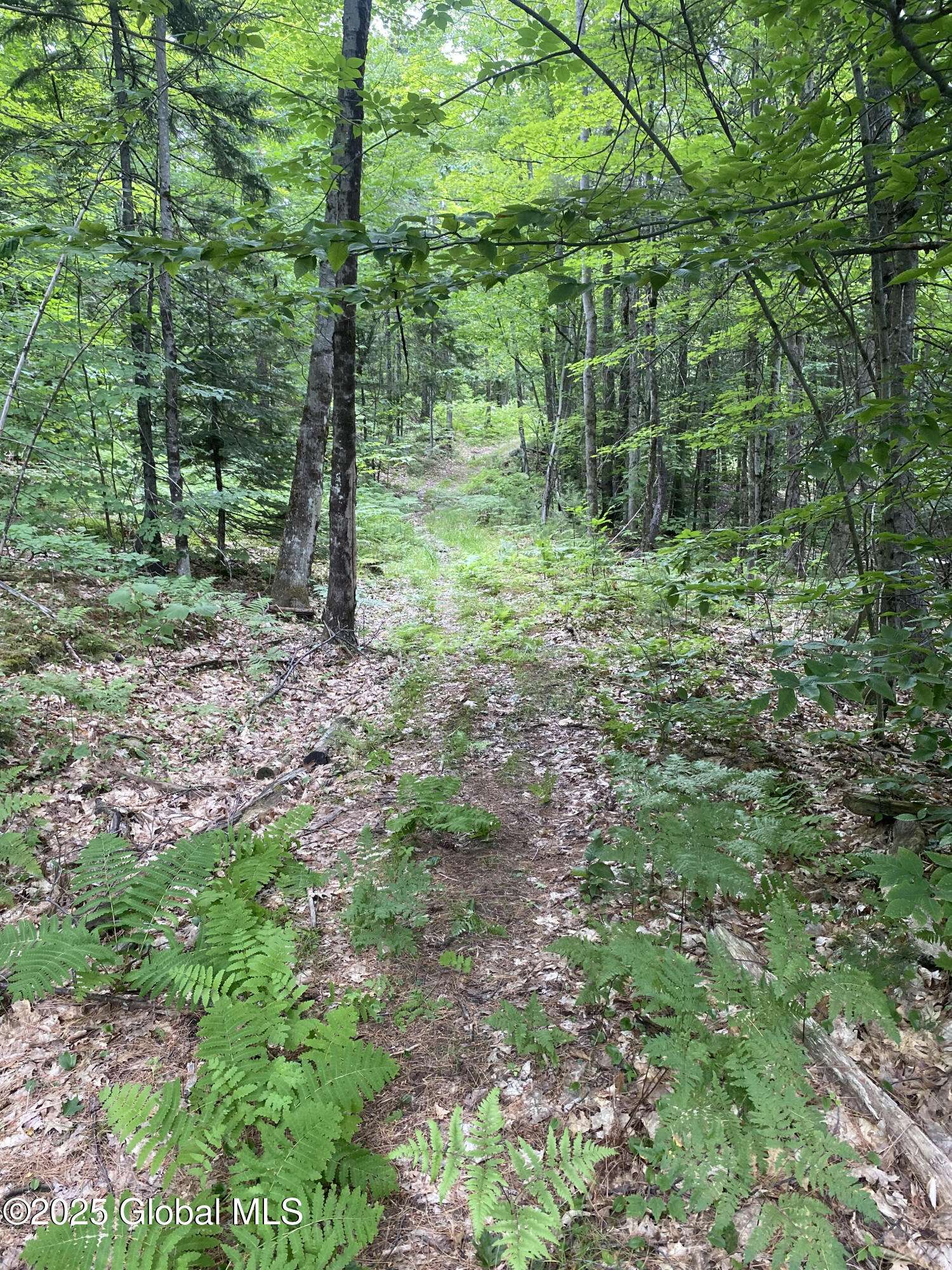 Crown Point, NY 12928,L20.130 McMurtry