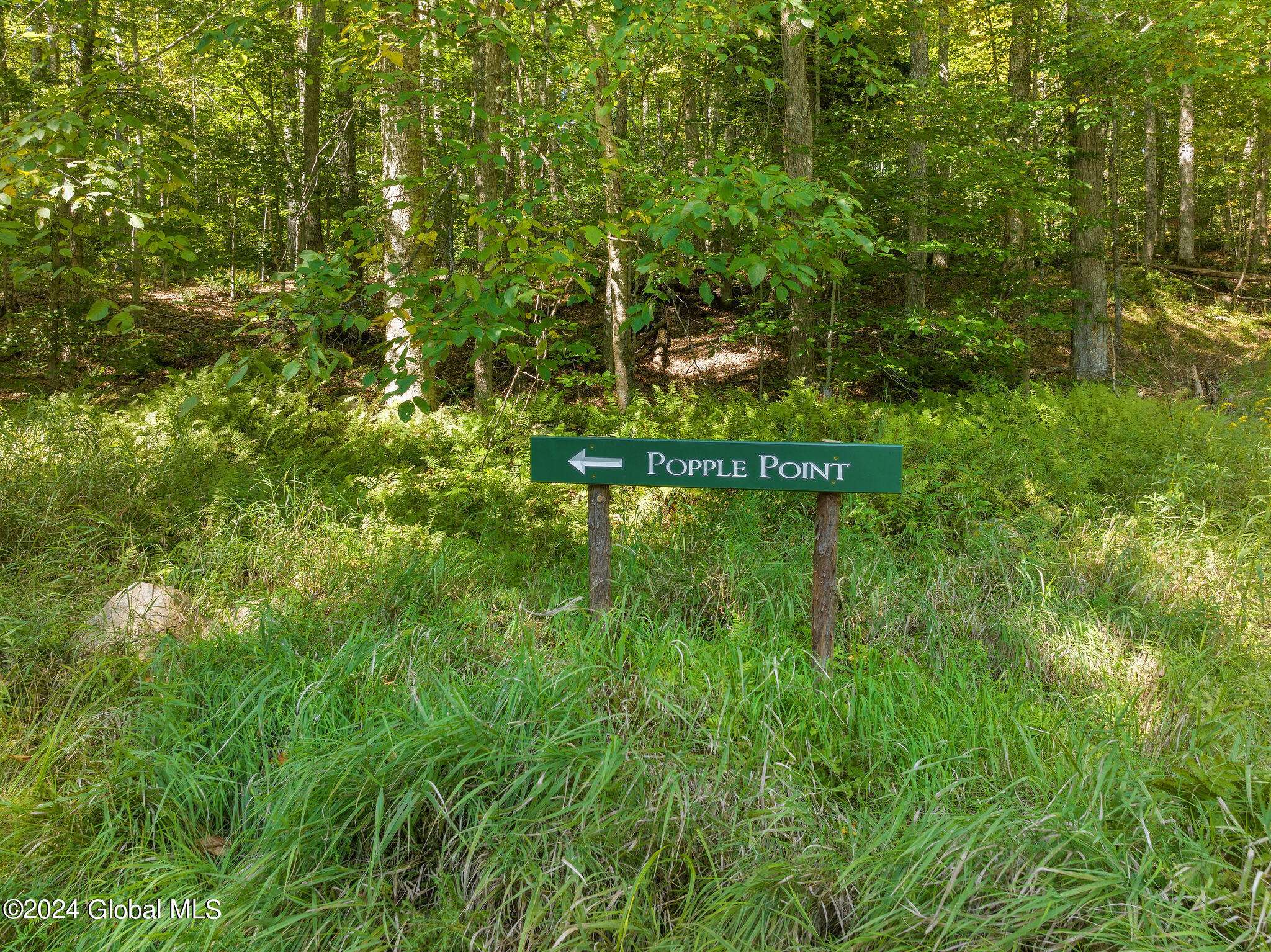 Long Lake, NY 12847,357 Popple Point