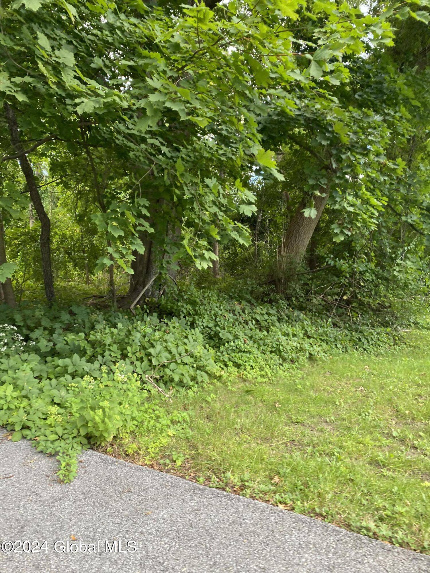 Saratoga Springs, NY 12866,10 North Avenue