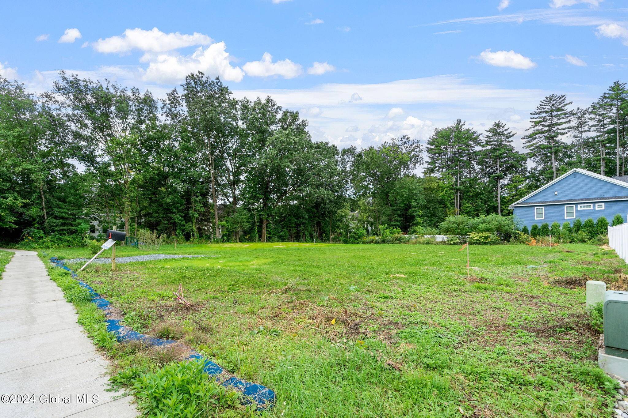 Saratoga Springs, Outside, NY 12866,25 Buff Road