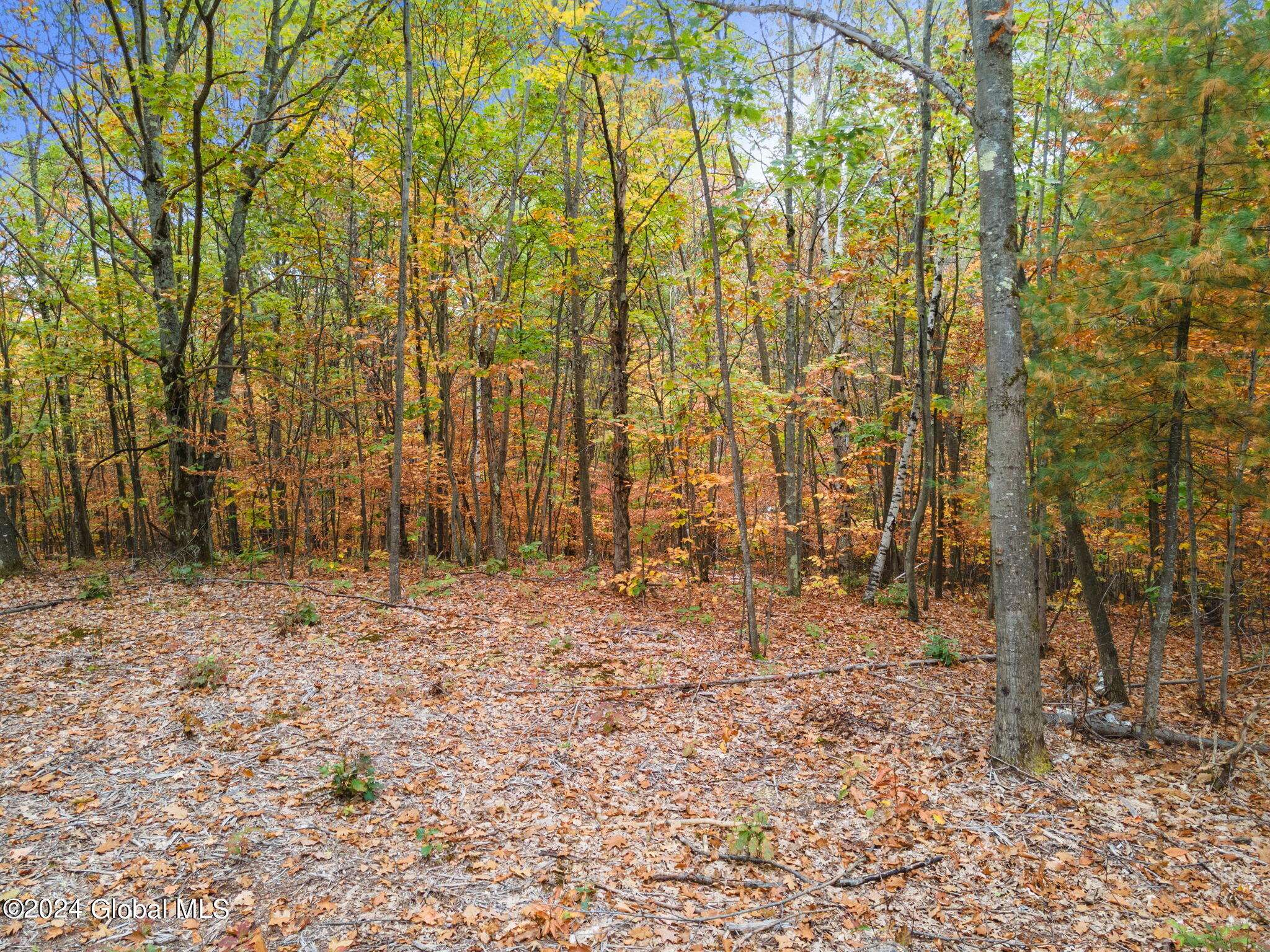 Richmondville, NY 12149,L7 Harroway Road