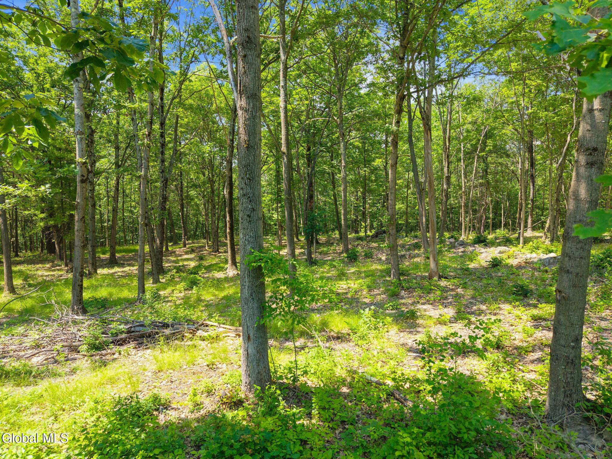 Richmondville, NY 12149,L7 Harroway Road