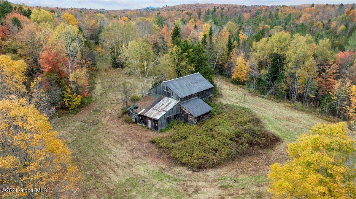 Minerva, NY 12851,182 Ridge Road