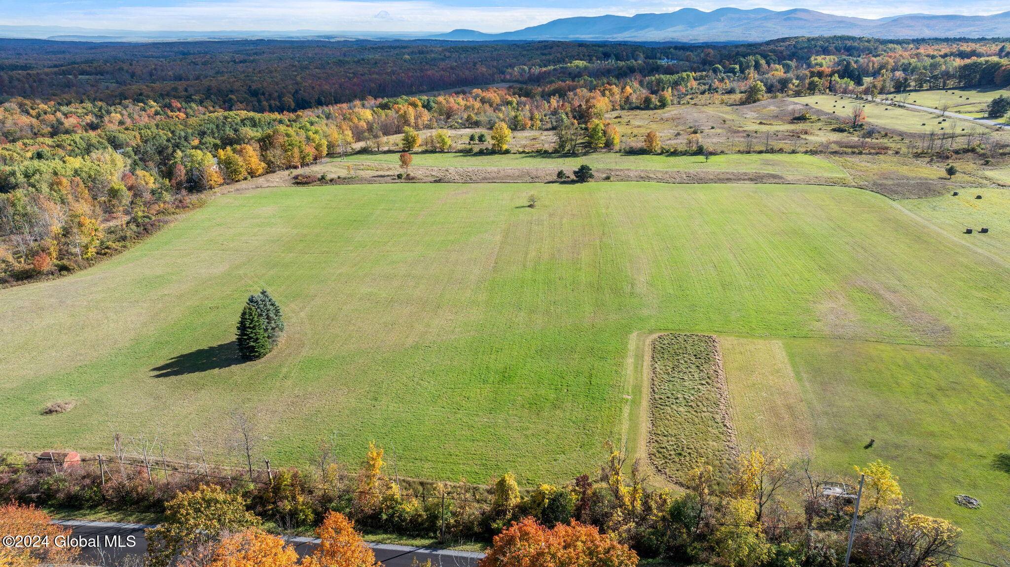 Westerlo, NY 12193,183 Albany Hill Road