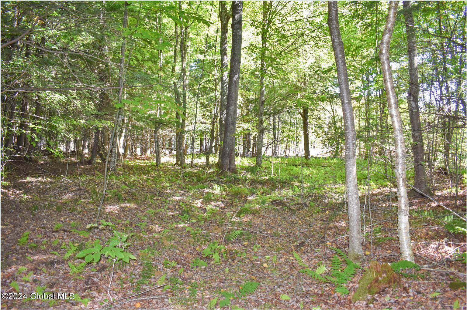 Chester, NY 12817,86 Carriage Knoll Road