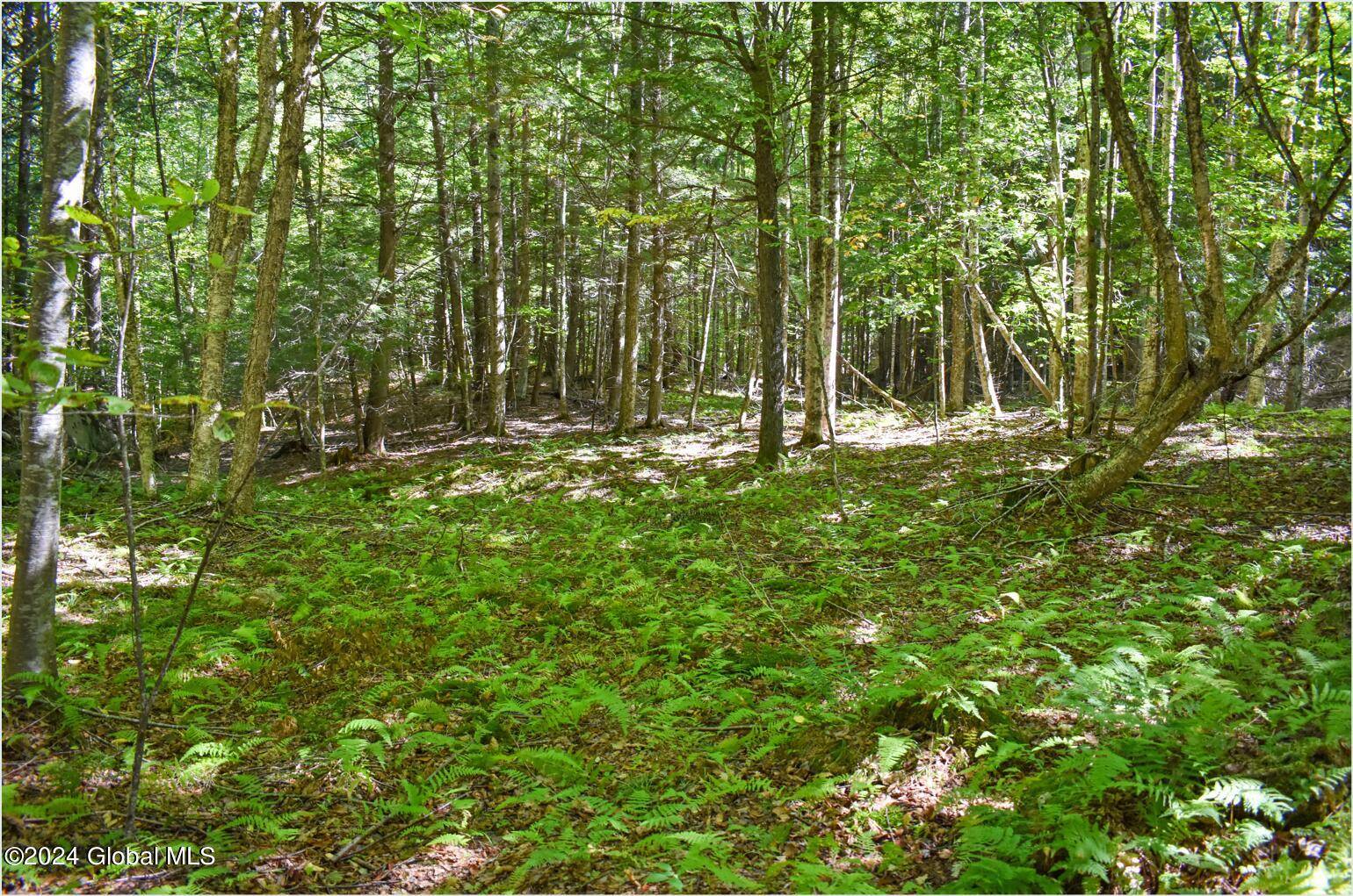 Chester, NY 12817,77 Carriage Knoll Road