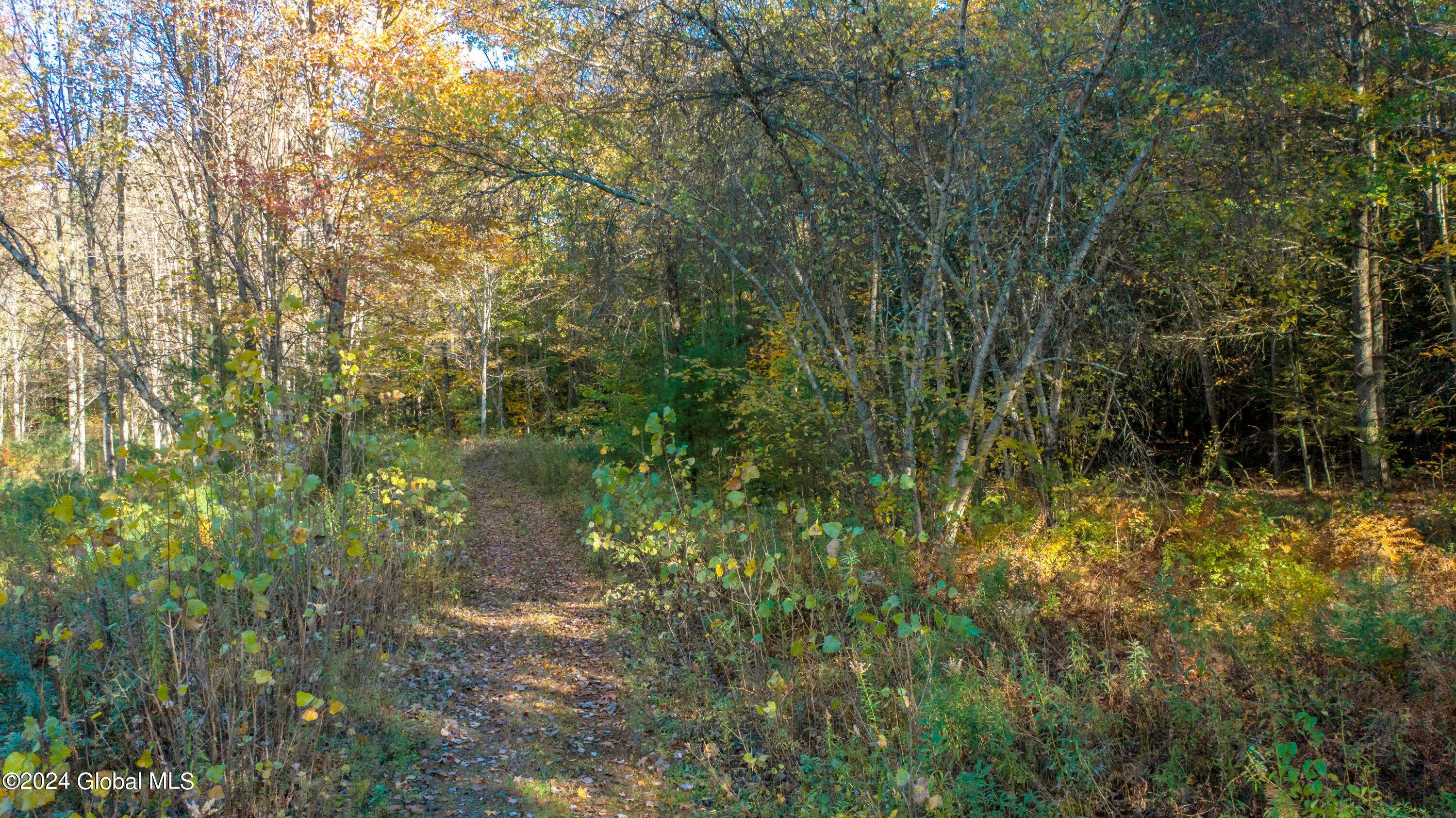 Wilton, NY 12831,L-122 Dimmick Road
