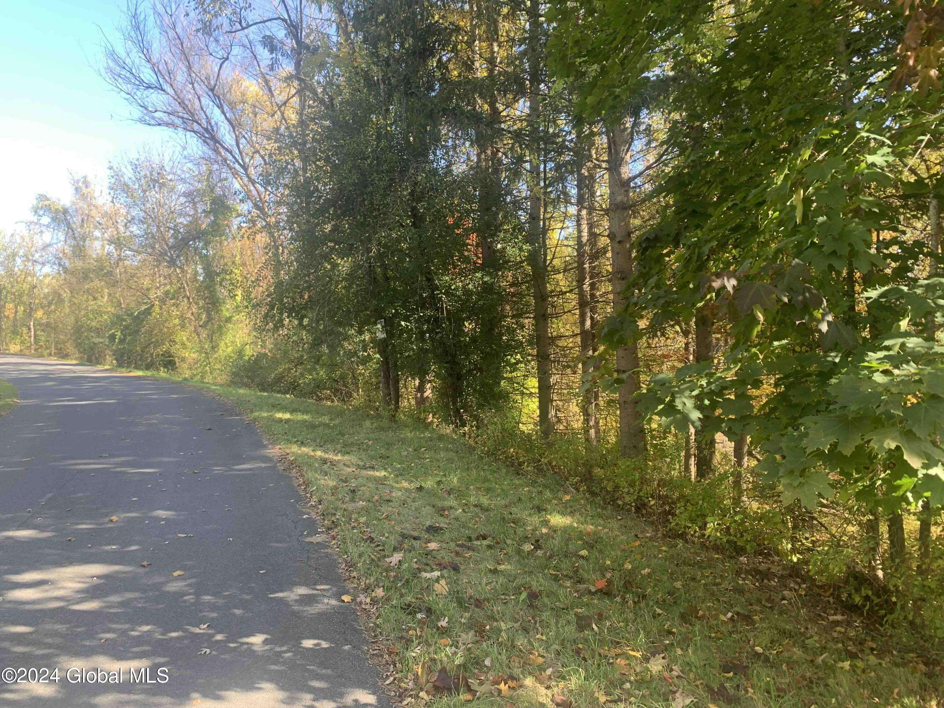 Schaghticoke, NY 12121,L11.2 Millard Road