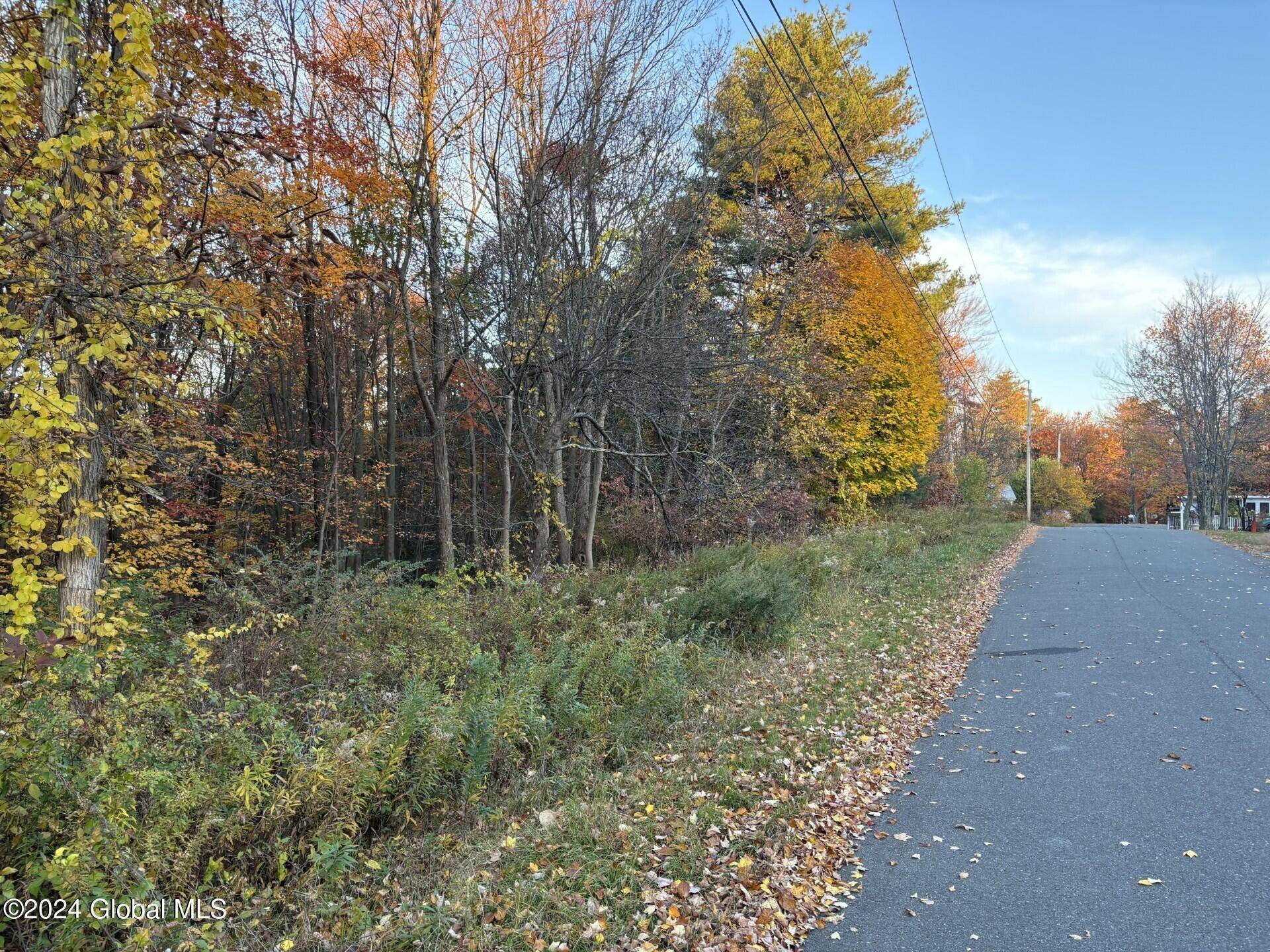 Sand Lake, NY 12196,L37 NY 43