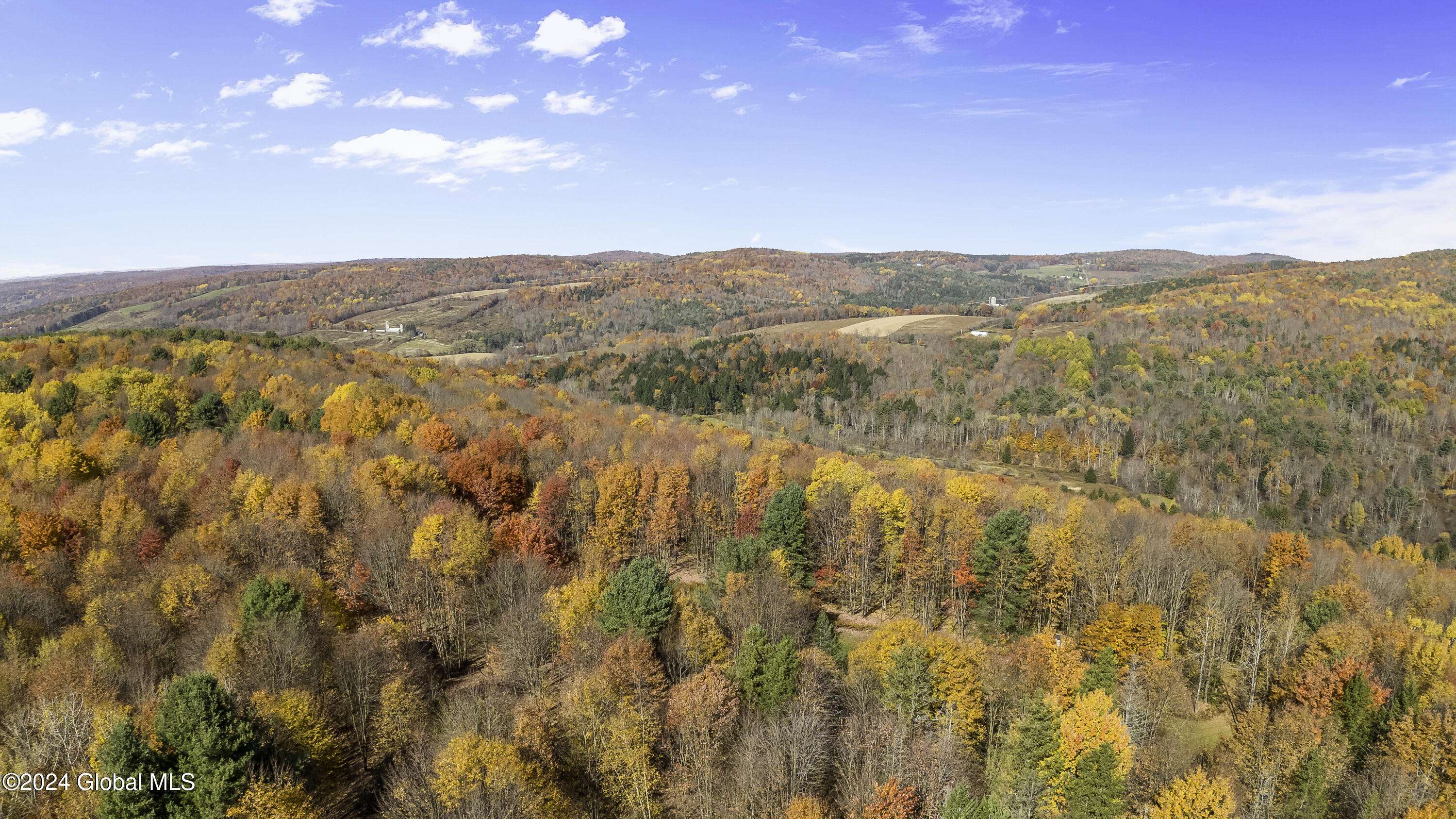 Masonville, NY 13804,3176 State Highway 206