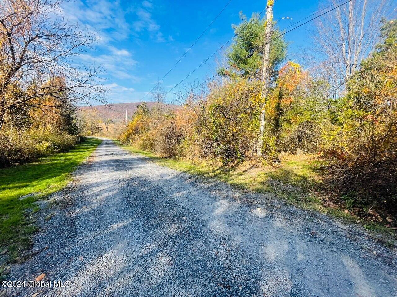 Middleburgh, NY 12122,106.1-1-1. Cliffside Drive