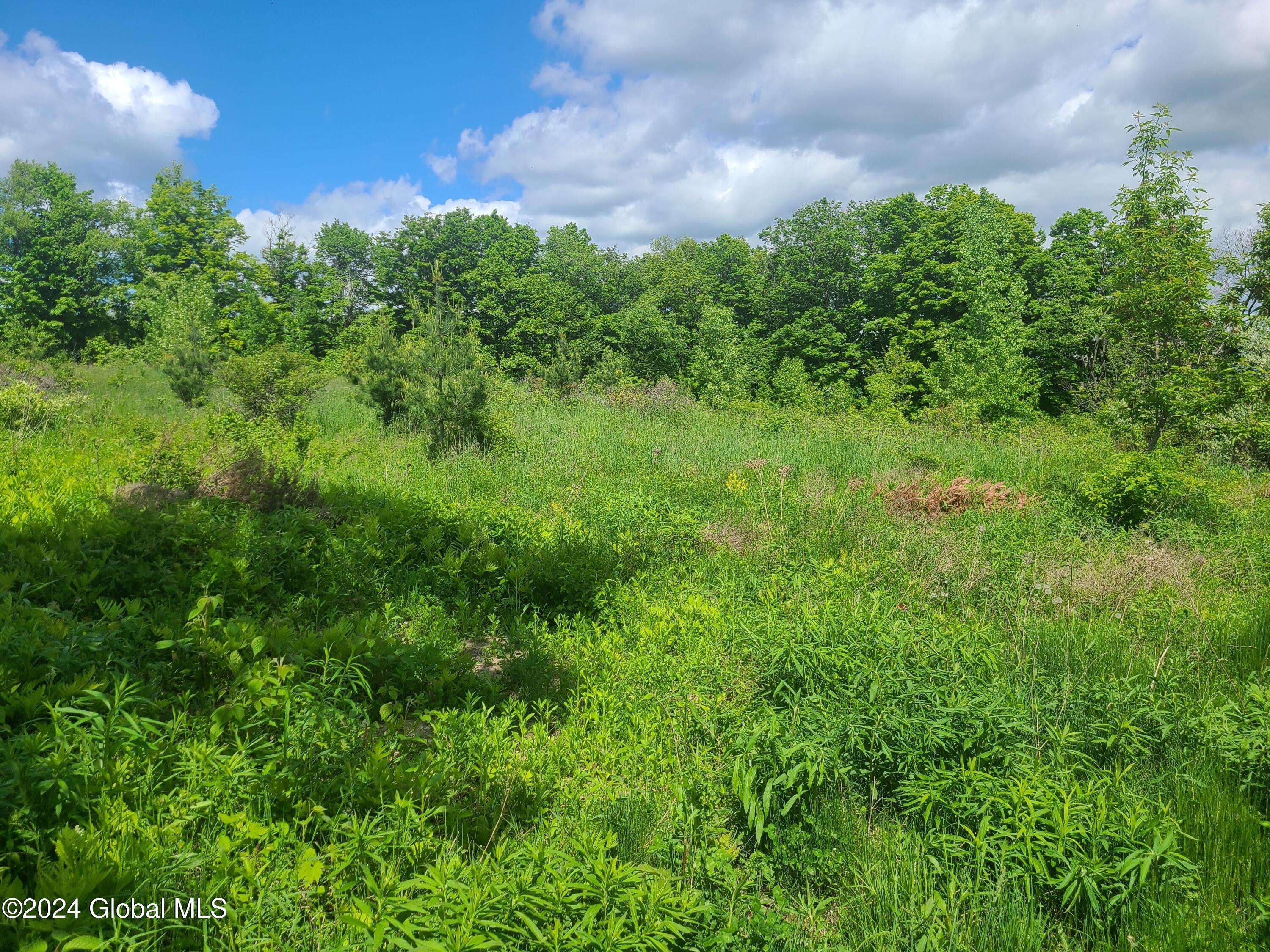 Stillwater, NY 12170,70 Gronczniak Road