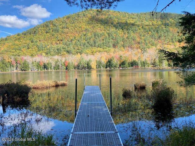 Johnsburg, NY 12853,66 Mountain Path