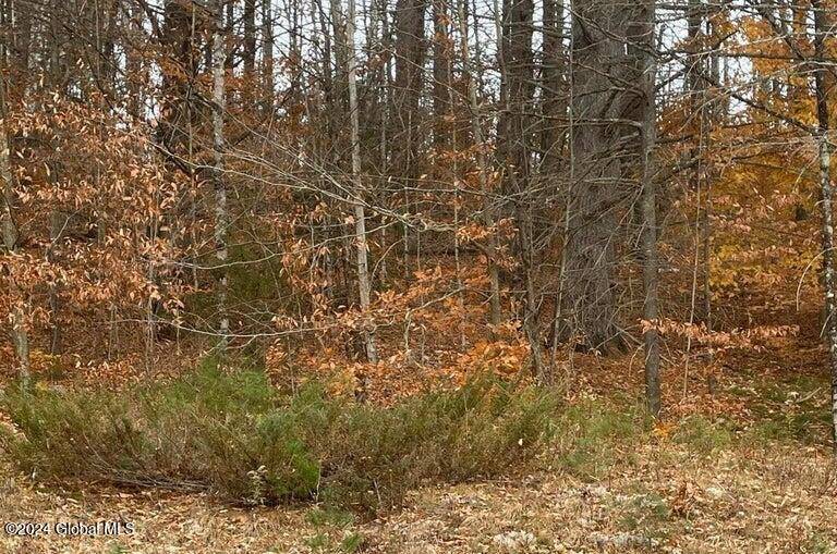 Chester, NY 12817,L26 Marina Road #Subdivision Lot 3