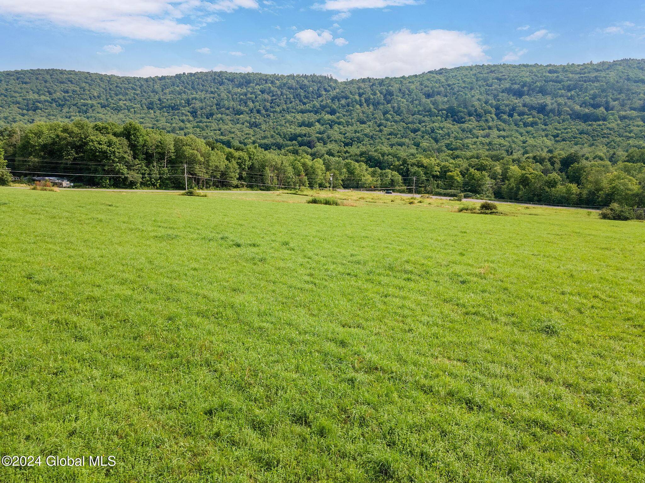 Kortright, NY 13739,L1 Tedle Brook Road