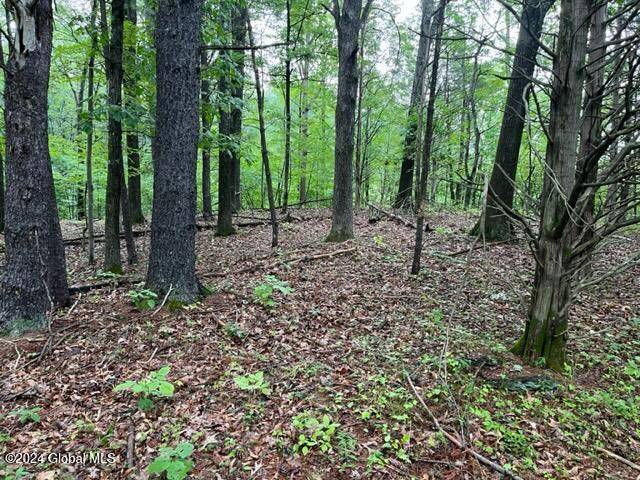 Cairo, NY 12413,L2.2 Canniff Road