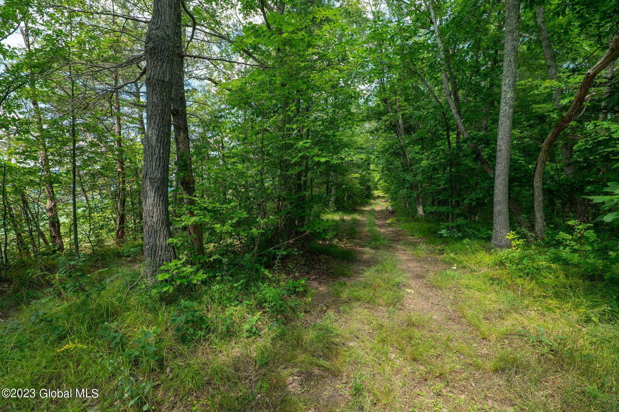 Middleburgh, NY 12122,L16 MT Path