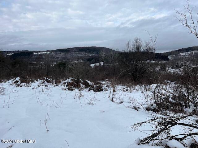 Summit, NY 12036,L15.1 Adlers Way