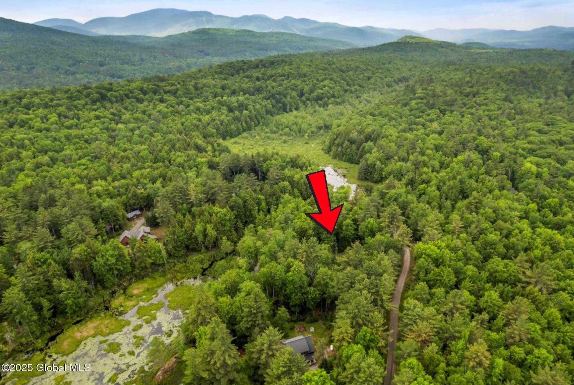 Johnsburg, NY 12886,321 Antler Lake Road
