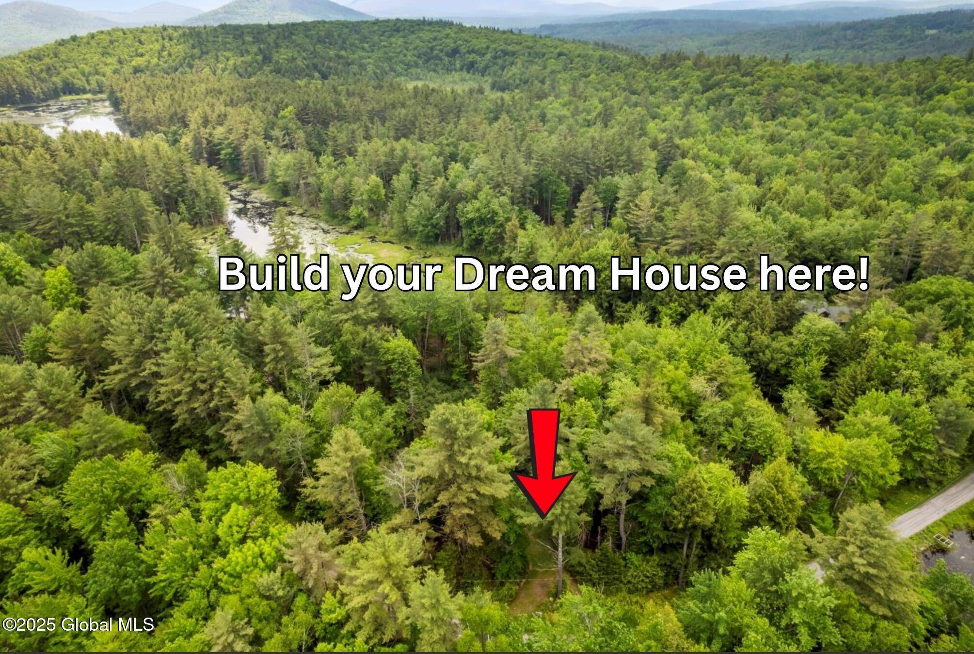 Johnsburg, NY 12886,321 Antler Lake Road