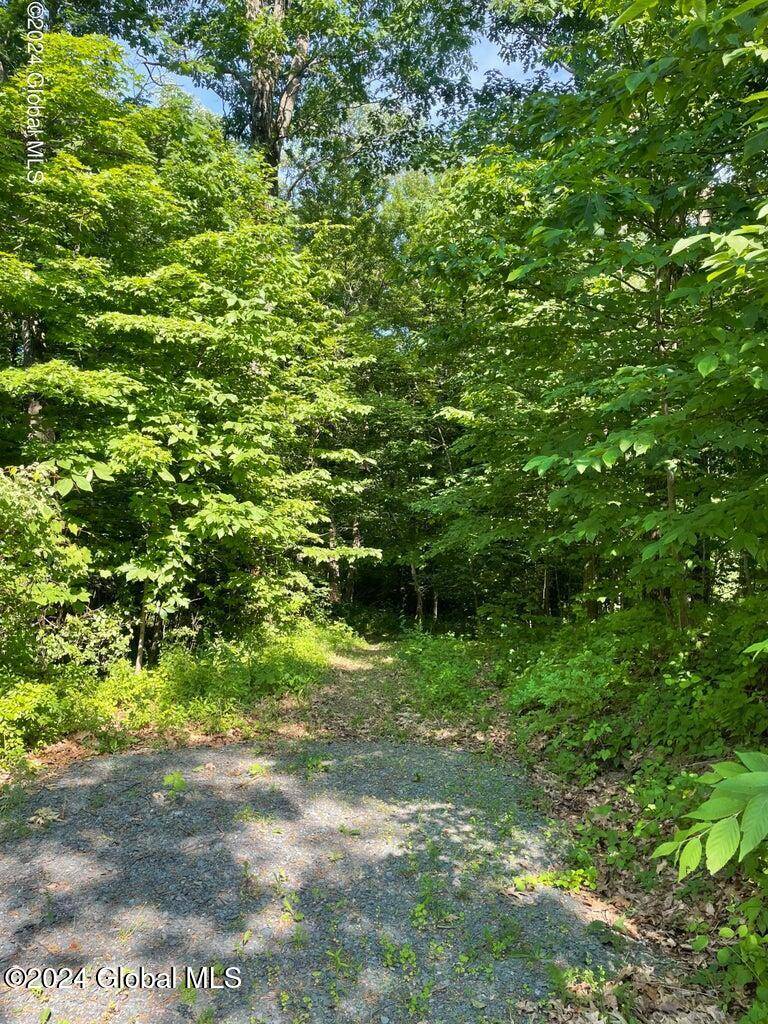 East Greenbush, NY 12061,L42.3 New Road