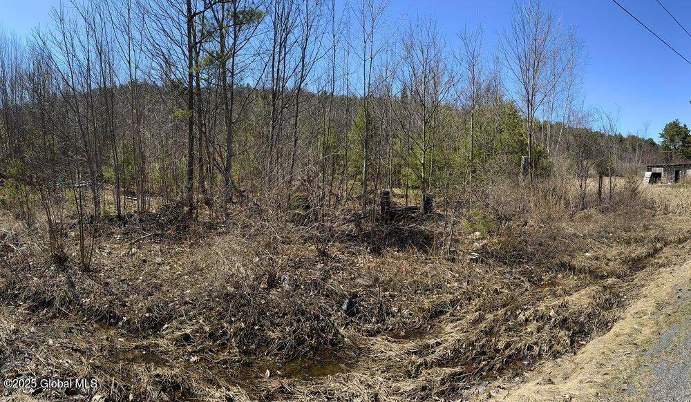 Lewis, NY 12950,L37.100 Moss Road