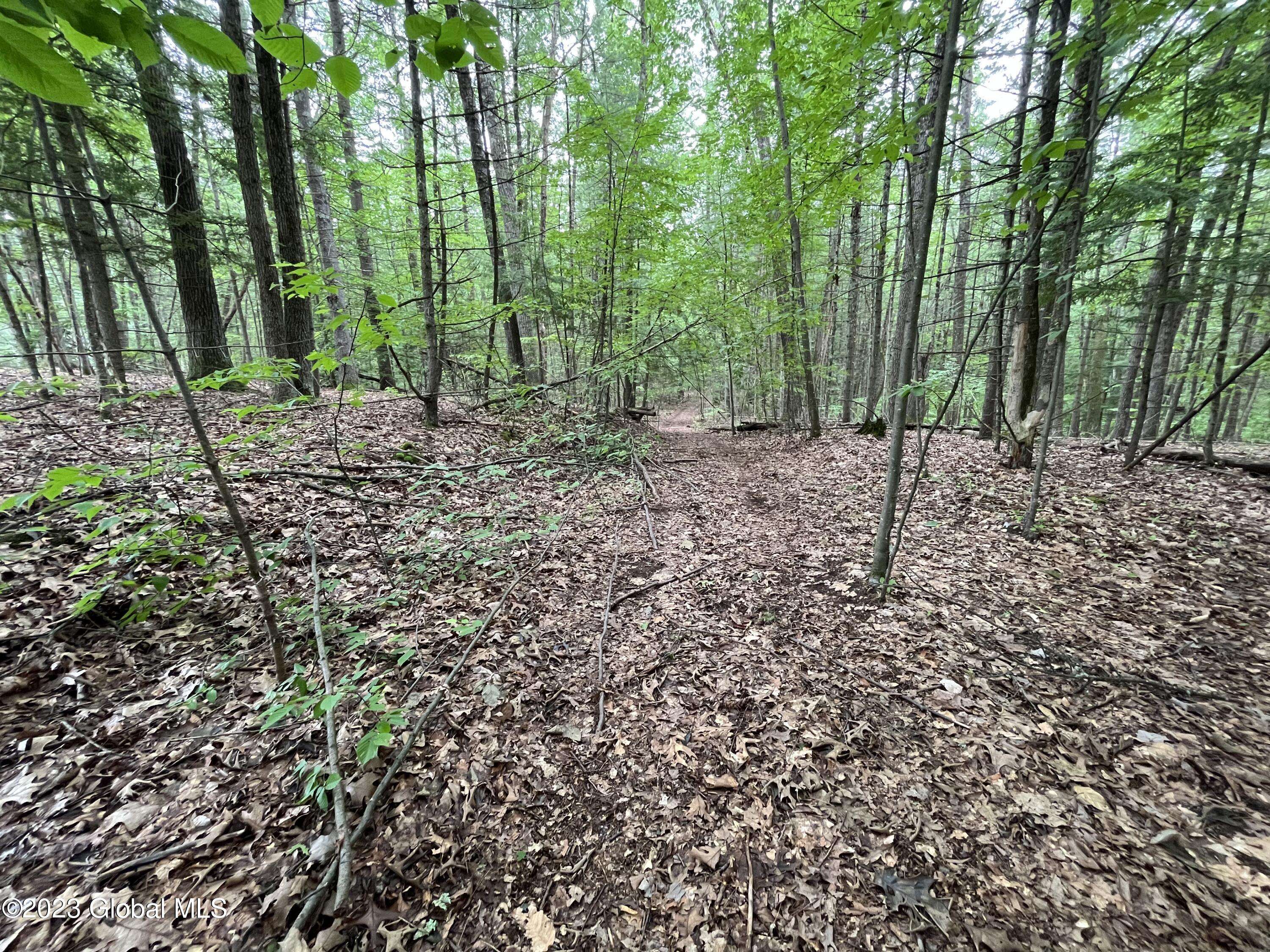 Northumberland, NY 12866,L19.22 Homestead Road