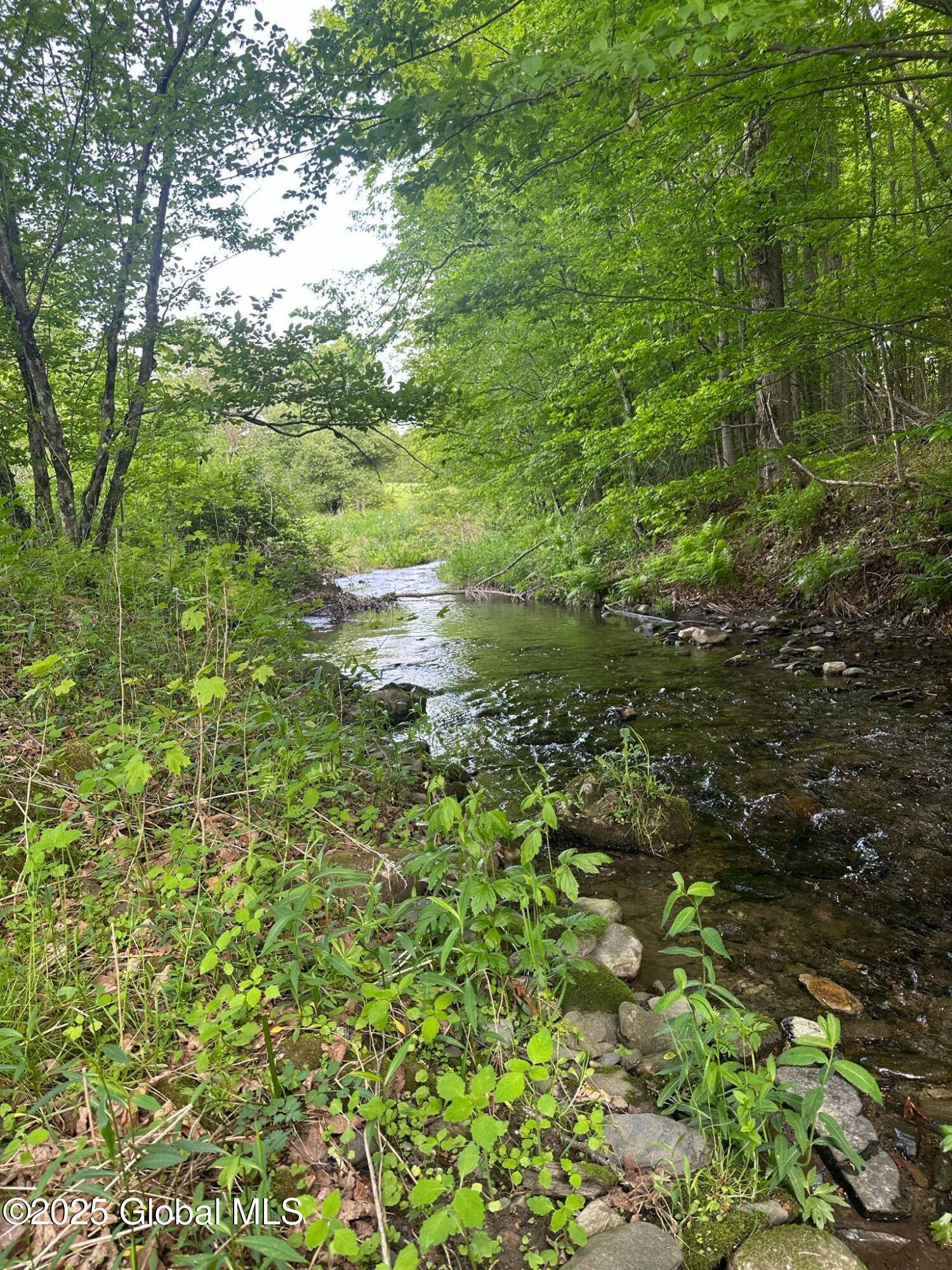 Hebron, NY 12832,L 12.9 Mountainside Meadow Way