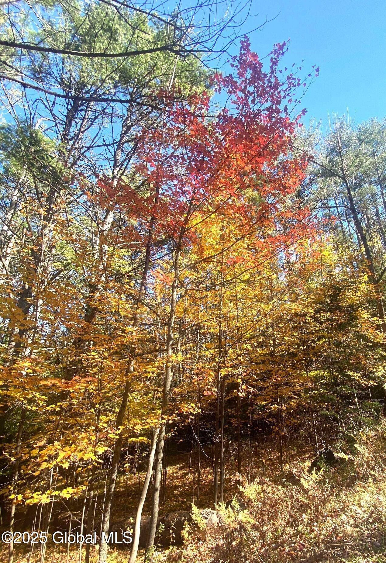 Minerva, NY 12851,L36 County Route 29