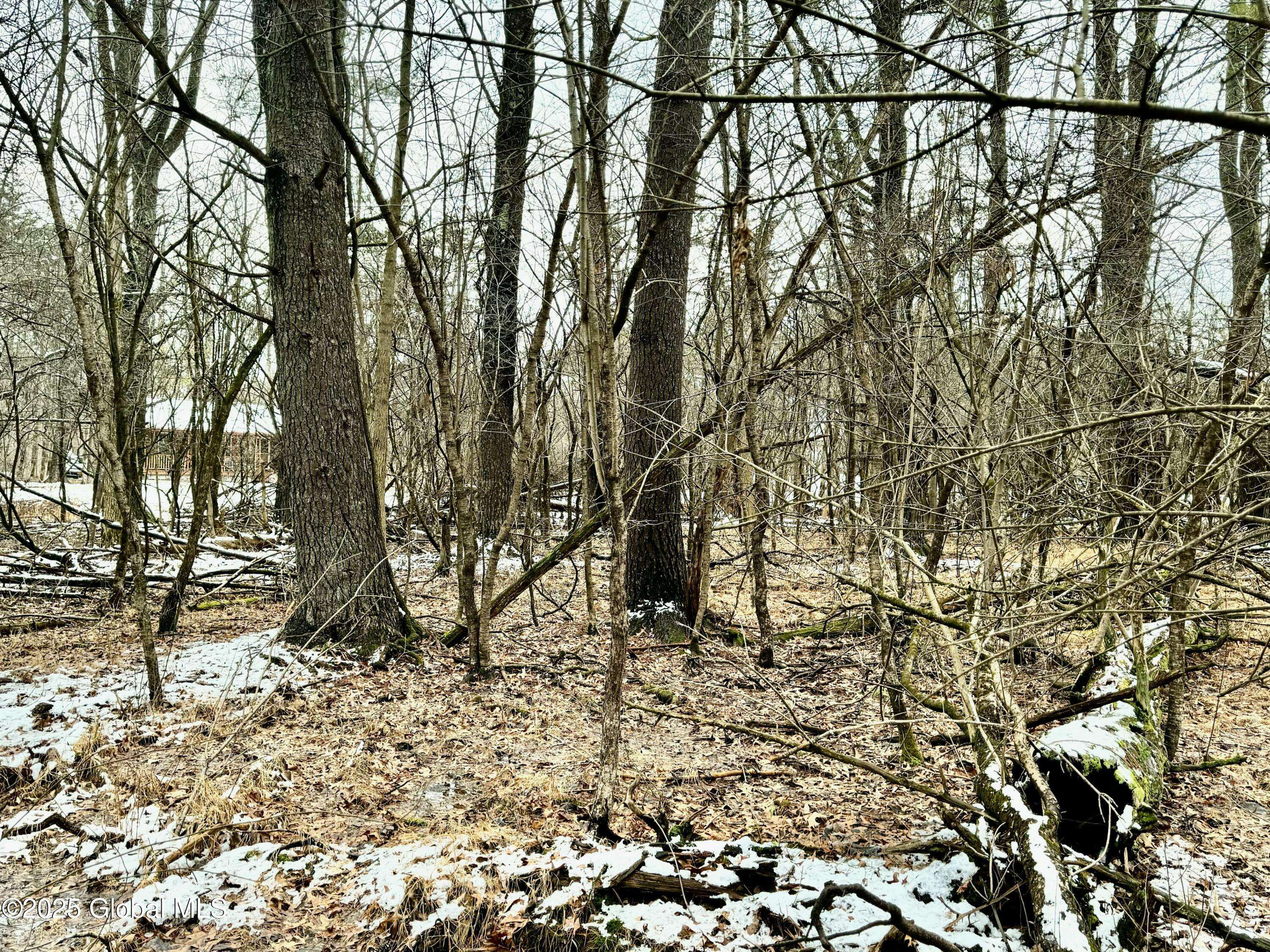 Coxsackie, NY 12015,2000 Sleepy Hollow Road