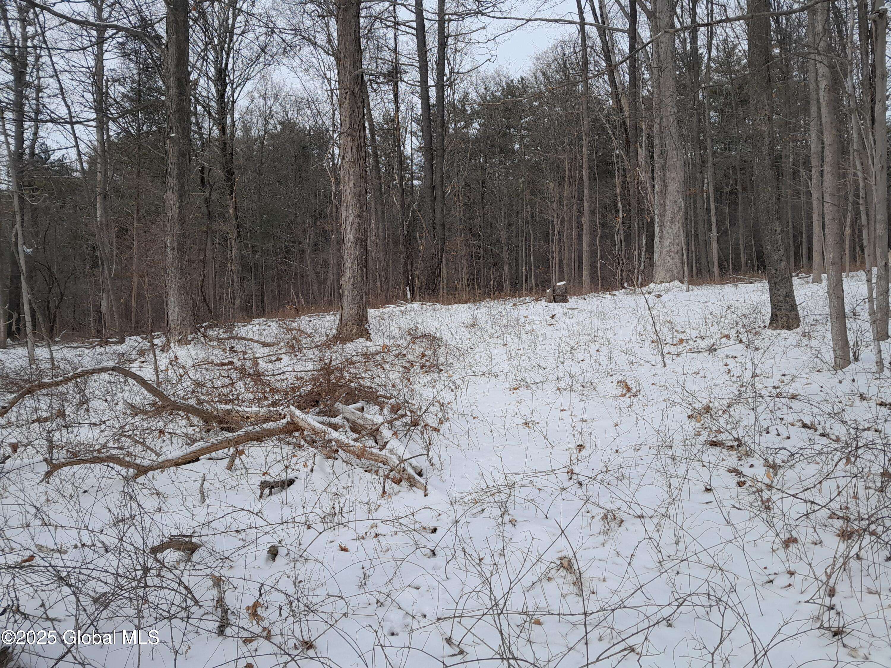 Coxsackie, NY 12192,L44 Roberts Hill Rd