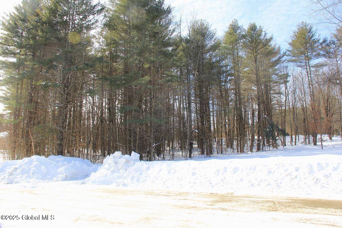 Schroon, NY 12870,L54.100 Continental Drive