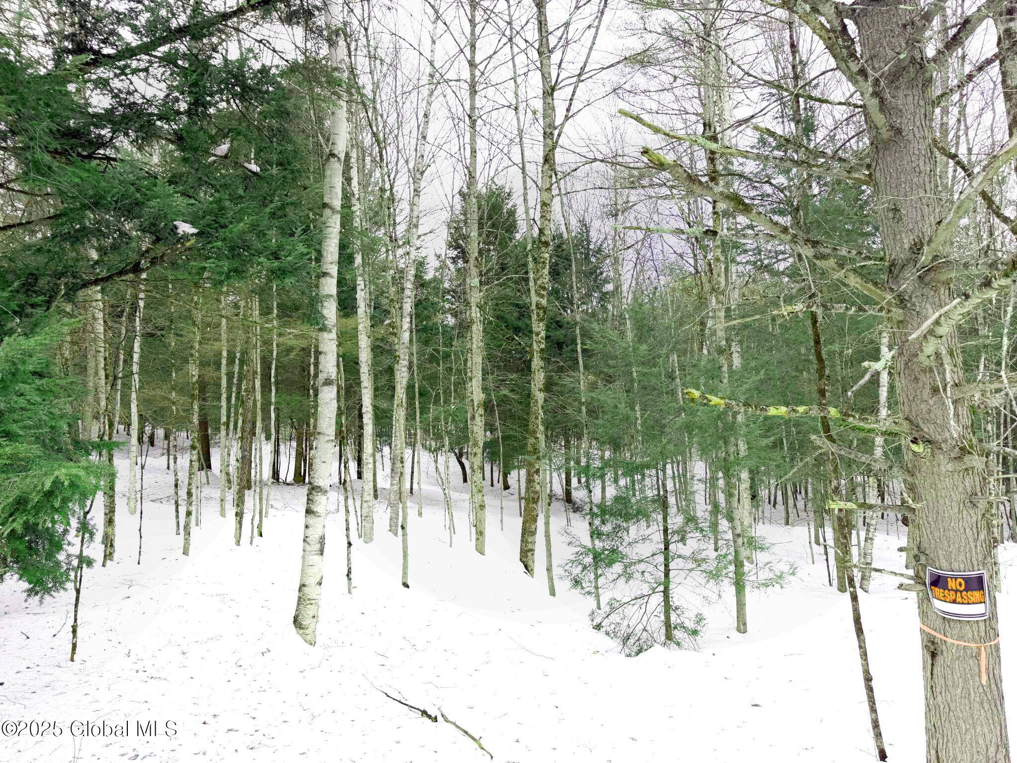 Lake Luzerne, NY 12846,L18 Hidden Valley Road #lot 1