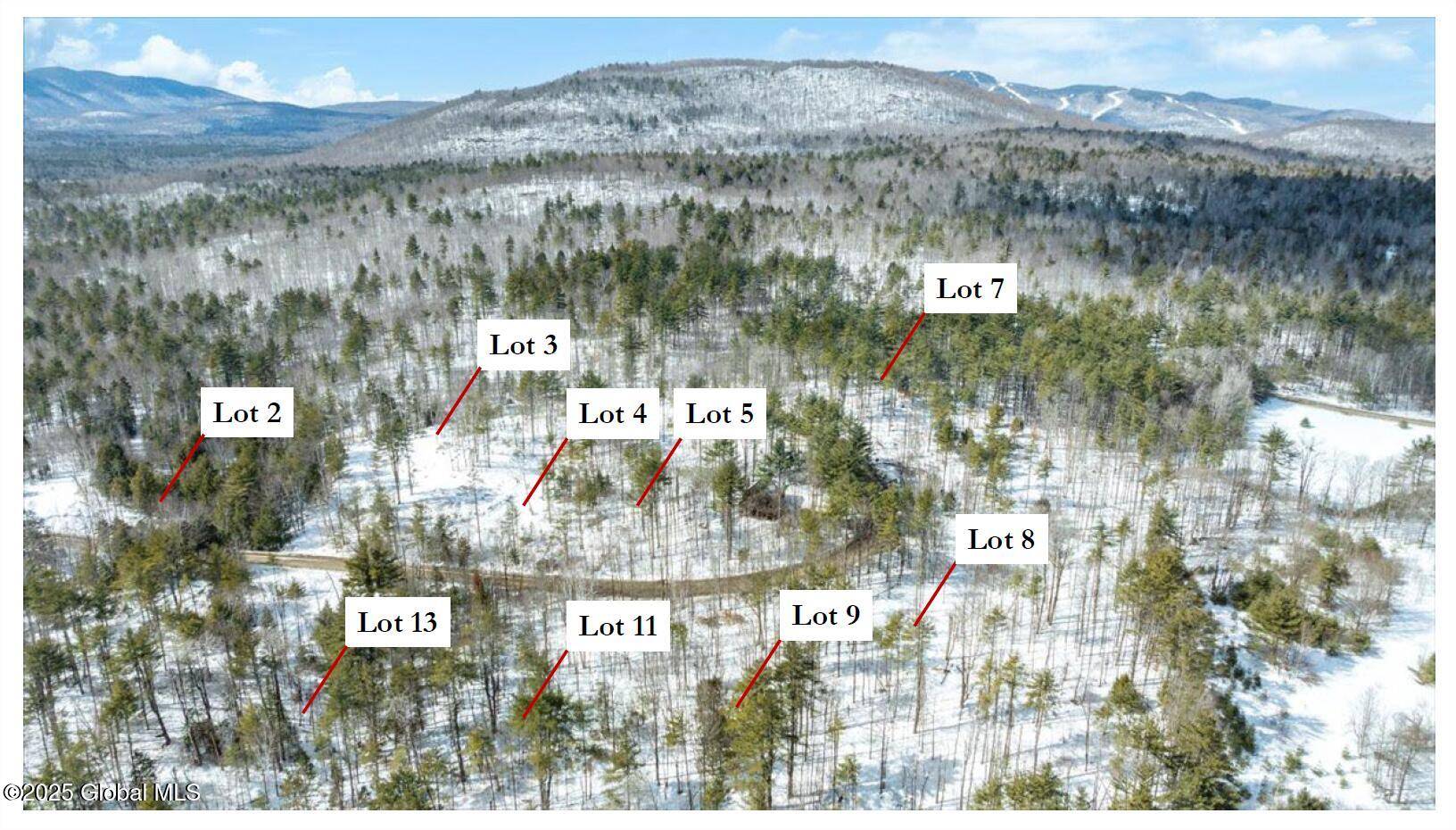 Johnsburg, NY 12886,L92 Highview Lane #Lot 8