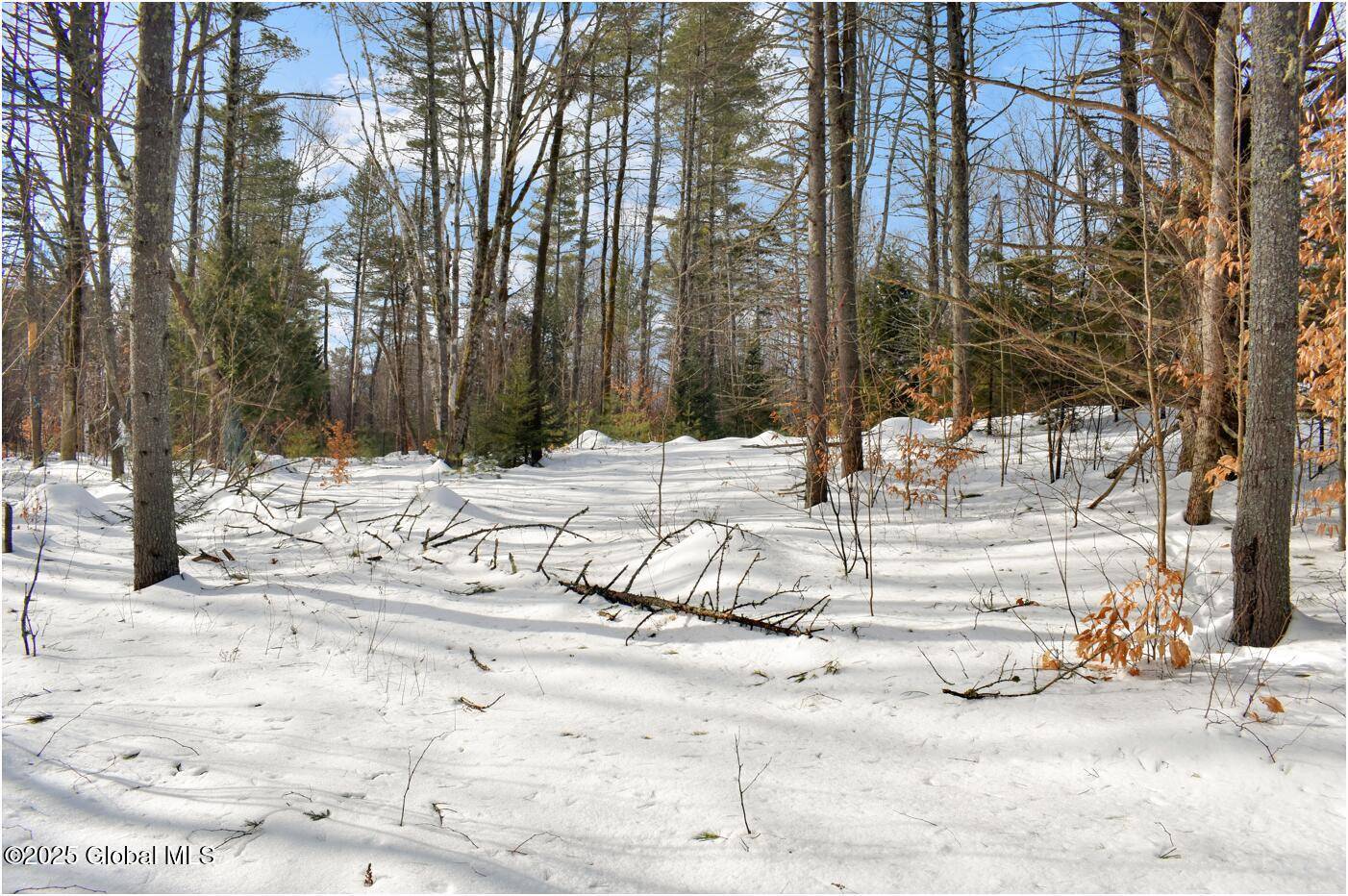 Johnsburg, NY 12886,L95 Highview Lane #Lot 11