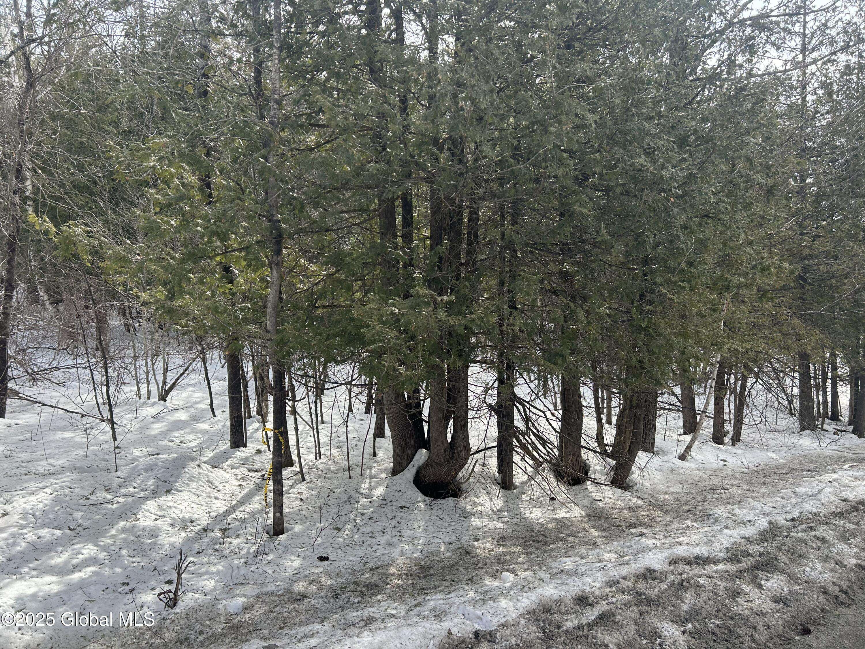 Crown Point, NY 12928,L22 -24 Hogback Rd