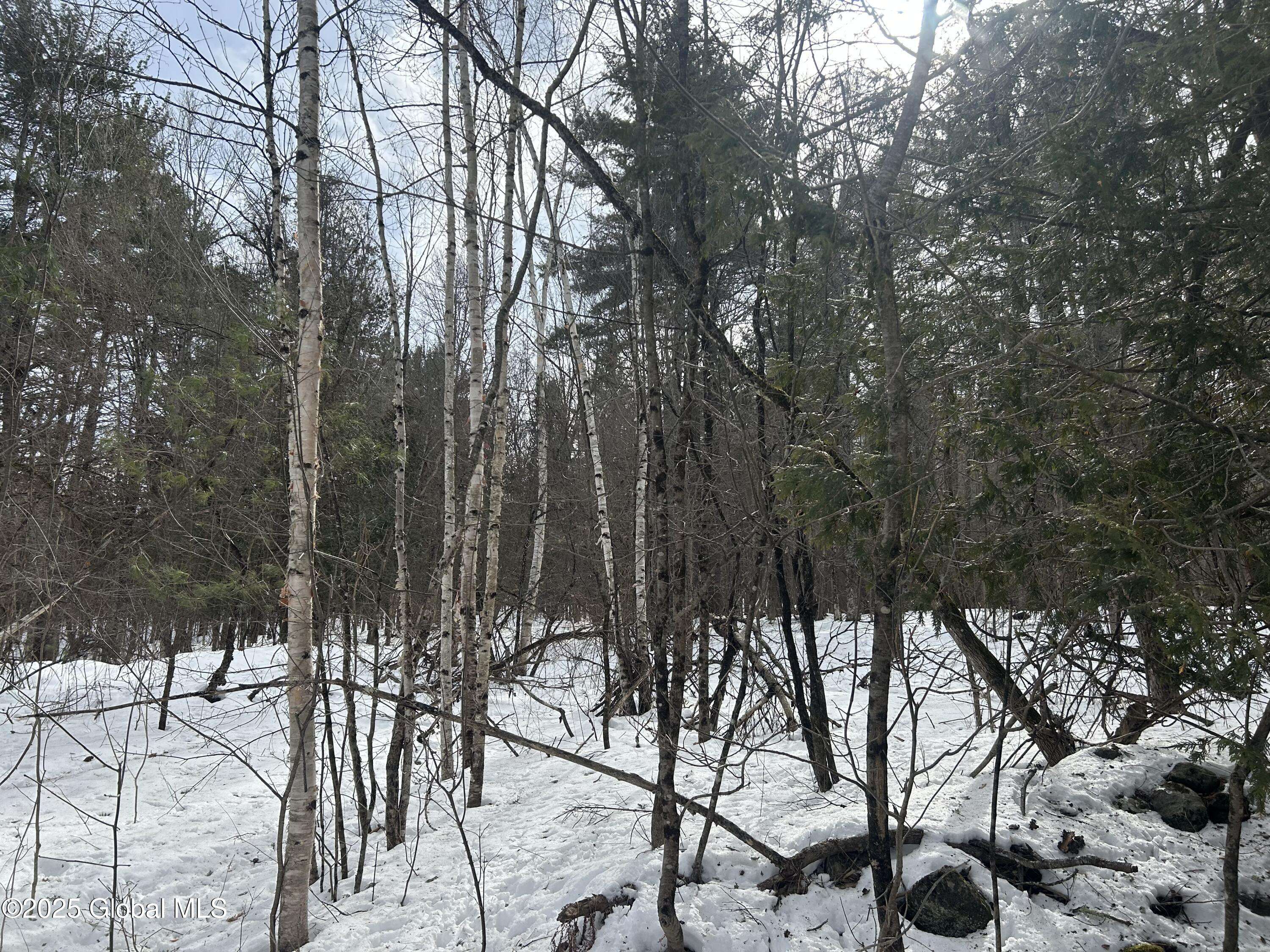 Crown Point, NY 12928,L22 -24 Hogback Rd