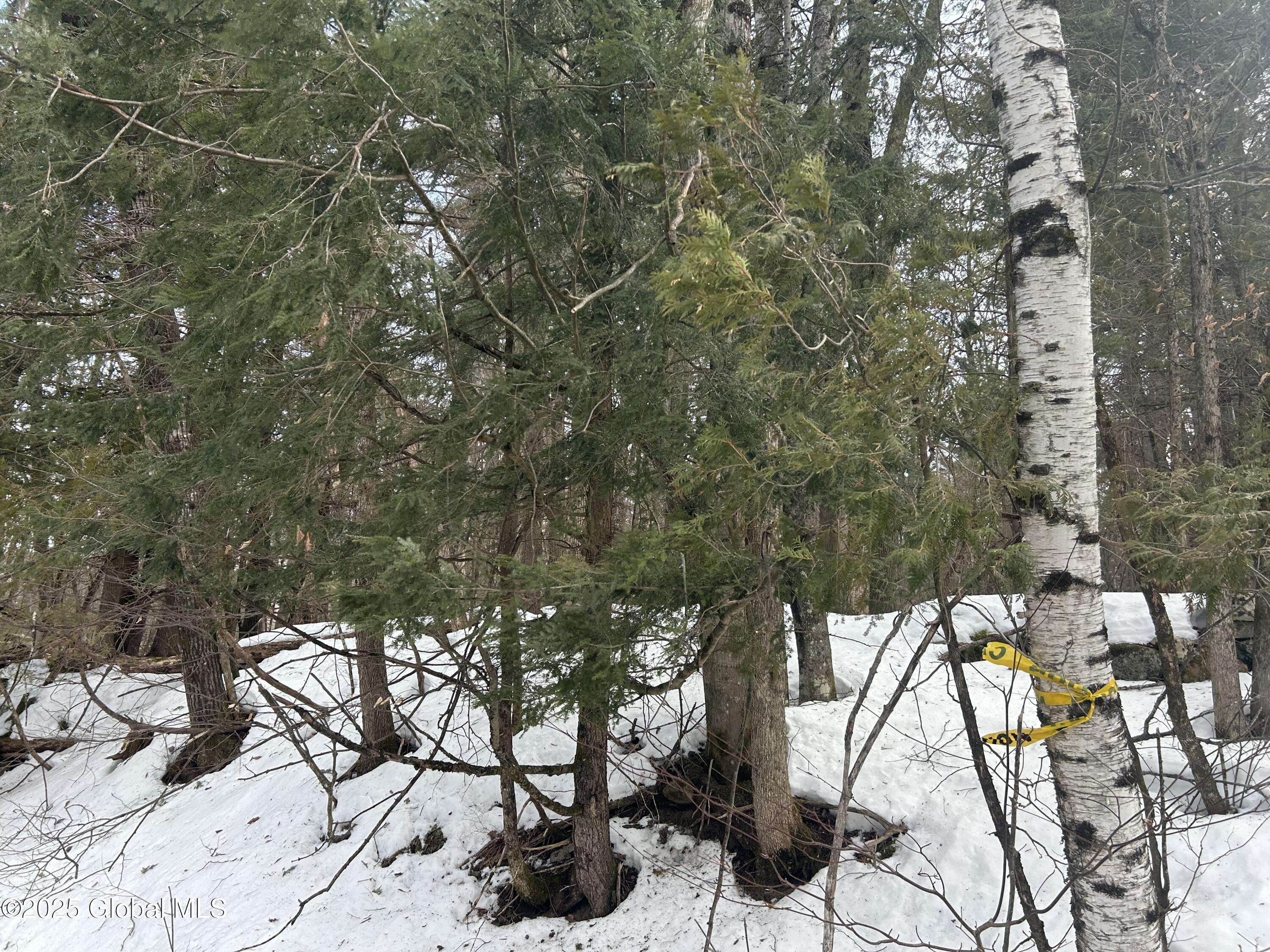 Crown Point, NY 12928,L22 -24 Hogback Rd