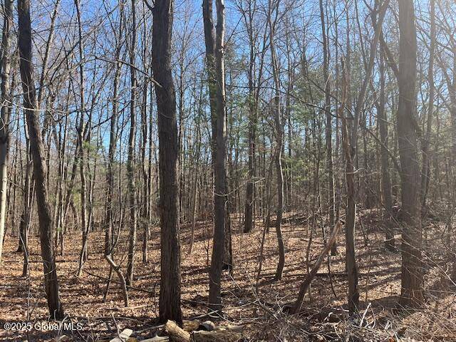Colonie, NY 12309,291 Vly Road