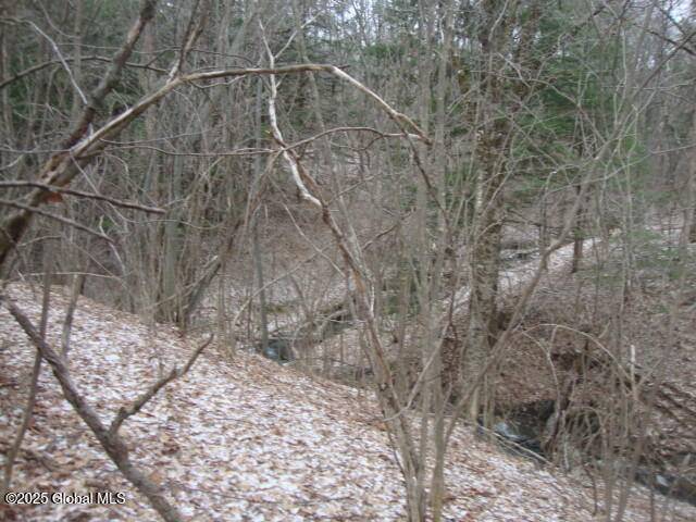Stark, NY 13339,300 Gros Road
