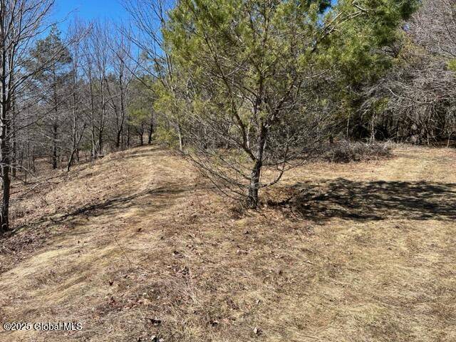 Summit, NY 12175,L1.13 Off Rossman Fly Road