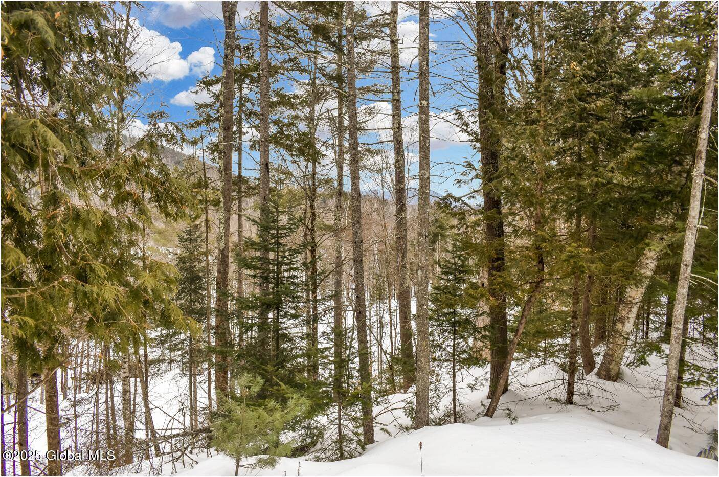 Johnsburg, NY 12853,L64 Cooper Hill Road