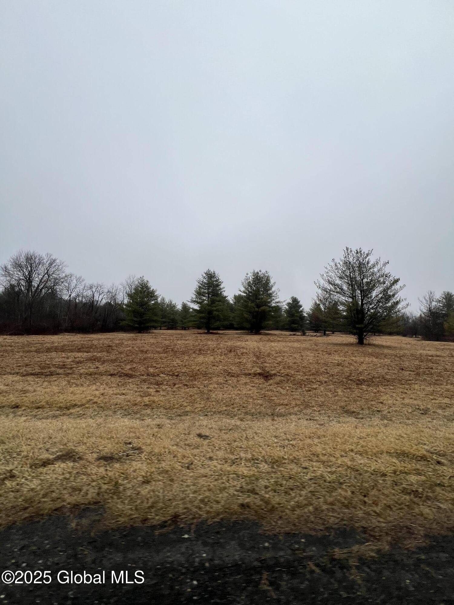 Greenville, NY 12083,L54 Meadowbrook Lane