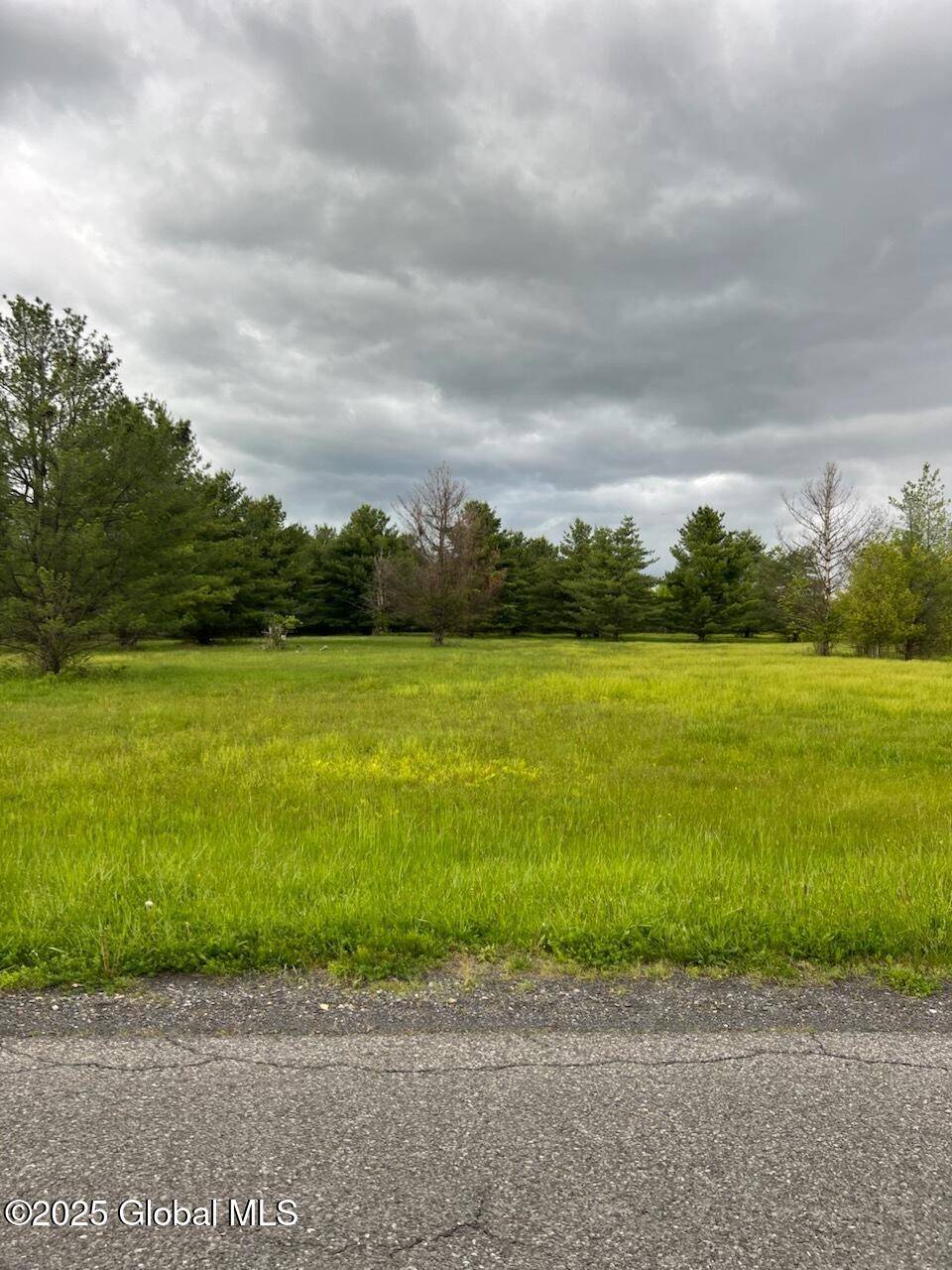 Greenville, NY 12083,L54 Meadowbrook Lane