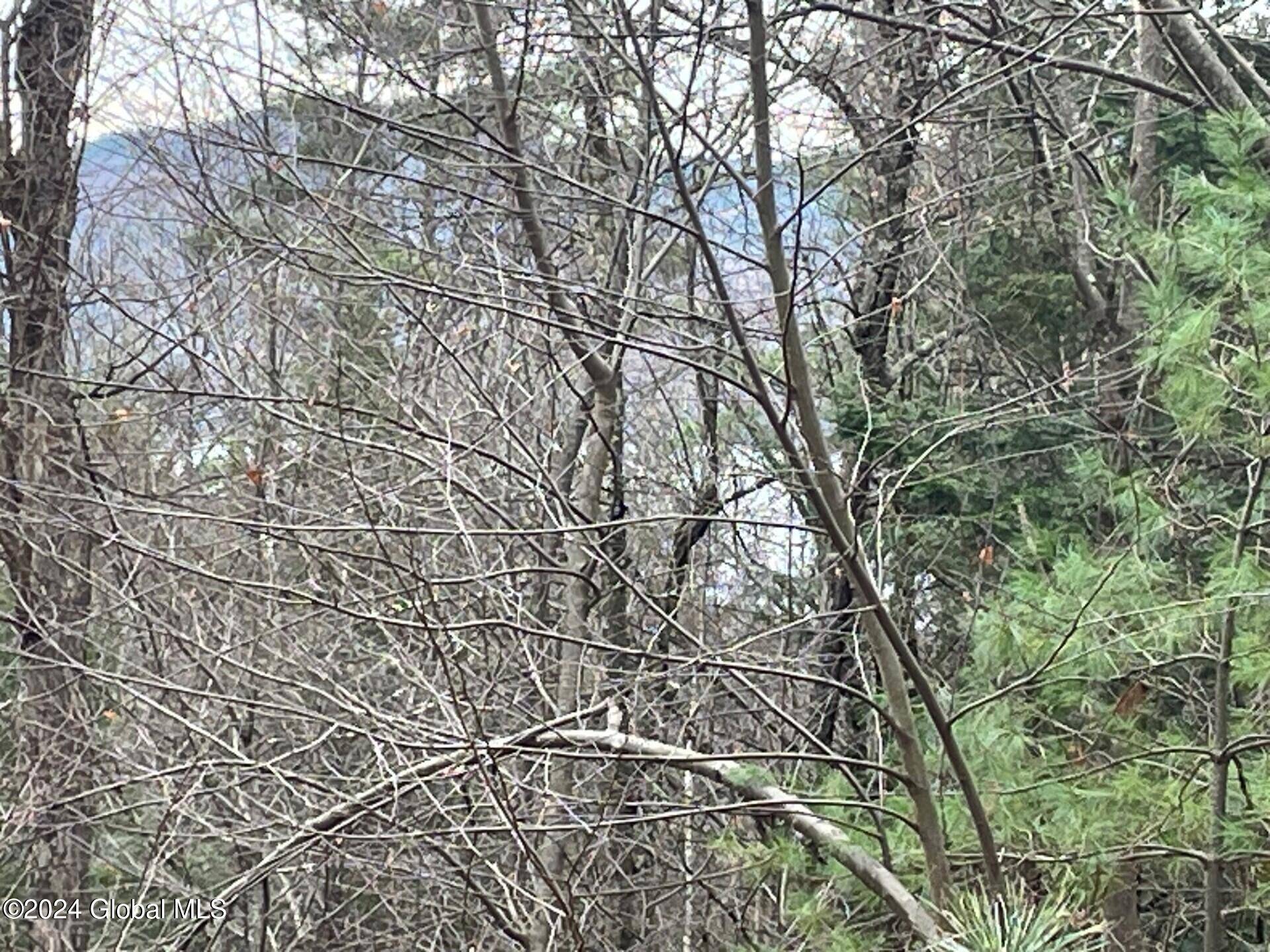 Bolton, NY 12814,8 Lake Ridge Road
